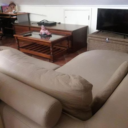 Guest House Ribatejo 萨尔瓦特拉迪马古什 外观 照片