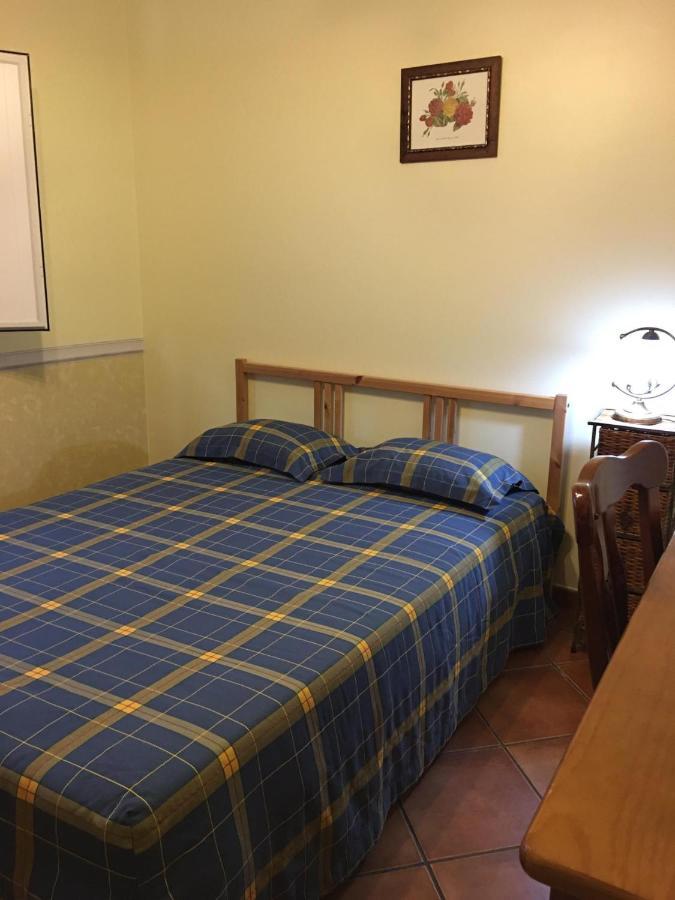 Guest House Ribatejo 萨尔瓦特拉迪马古什 外观 照片
