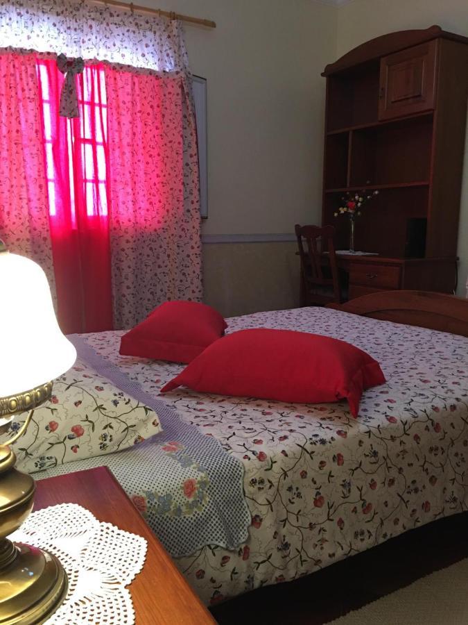 Guest House Ribatejo 萨尔瓦特拉迪马古什 外观 照片