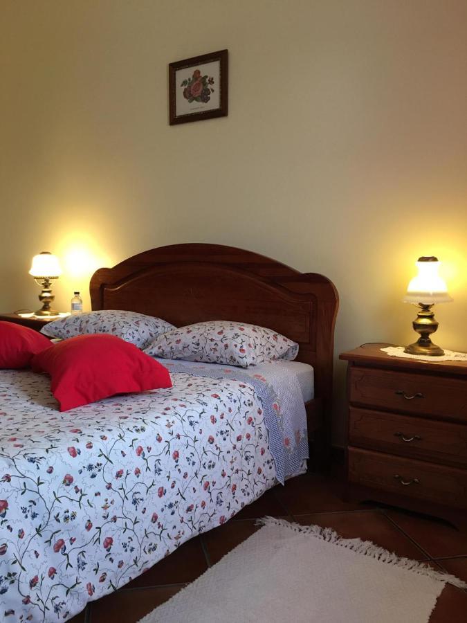 Guest House Ribatejo 萨尔瓦特拉迪马古什 外观 照片