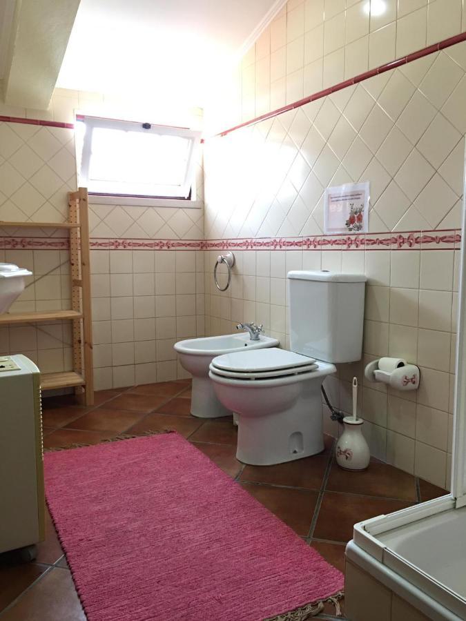 Guest House Ribatejo 萨尔瓦特拉迪马古什 外观 照片
