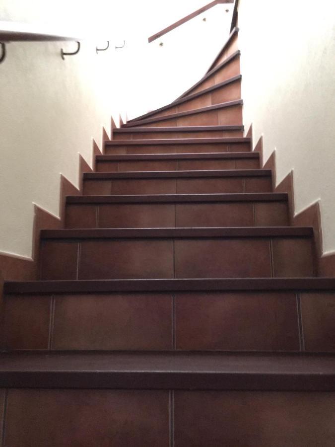 Guest House Ribatejo 萨尔瓦特拉迪马古什 外观 照片