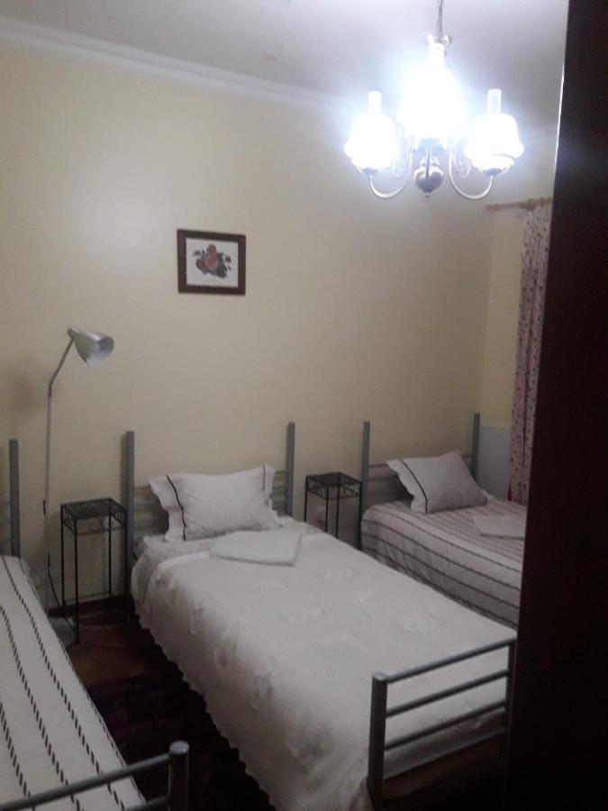 Guest House Ribatejo 萨尔瓦特拉迪马古什 外观 照片