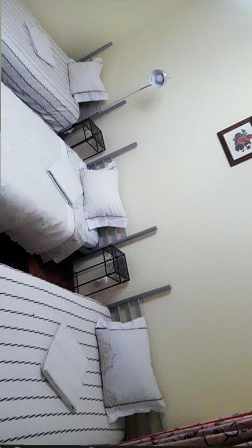Guest House Ribatejo 萨尔瓦特拉迪马古什 外观 照片